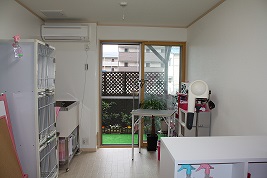 img_20130703-165054.jpg