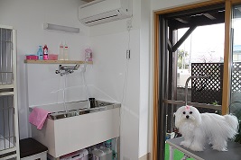 img_20130703-165452.jpg