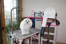 img_20130703-170952.jpg