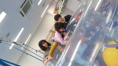 img_20190213-090231.jpg