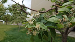 img_20220514-073705.jpg