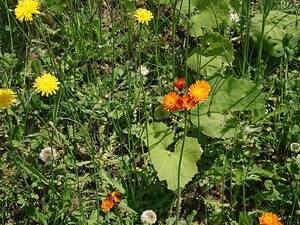img_20230610-084911.jpg