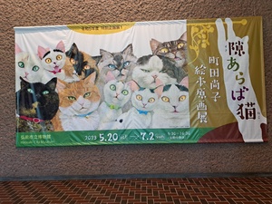 img_20230701-115734.jpg