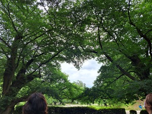 img_20230701-122306.jpg