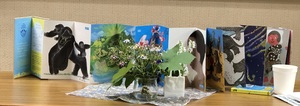 img_20230909-203447.jpg
