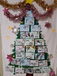 img_20231213-115745.jpg