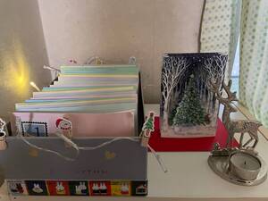 img_20231213-120134.jpg