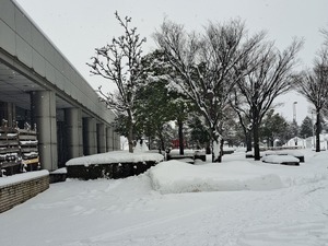 img_20240113-194702.jpg