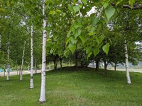 img_20240511-001128.jpg