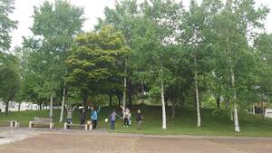 img_20240511-001218.jpg