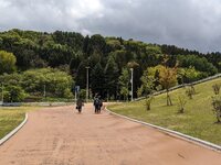 img_20240511-001434.jpg