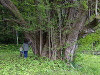 img_20240511-001709.jpg
