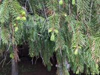 img_20240511-005757.jpg