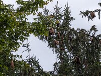 img_20240511-005854.jpg