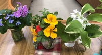 img_20240512-055712.jpg