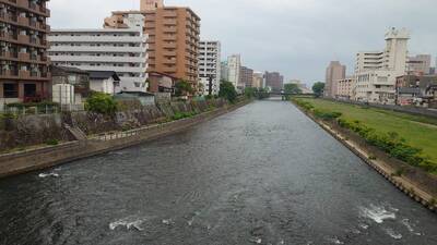 img_20240531-163534.jpg