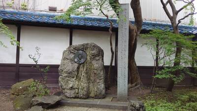 img_20240531-163606.jpg