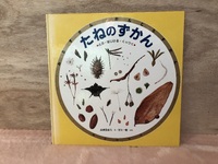 img_20240609-090037.jpg