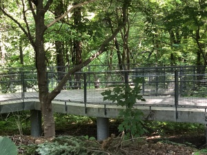 img_20240609-135738.jpg