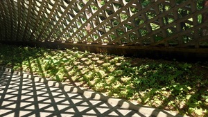 img_20240609-140150.jpg