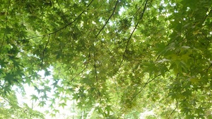 img_20240609-155435.jpg