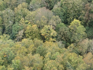 img_20241011-111707.jpg
