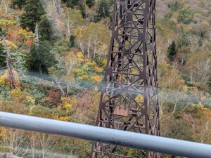 img_20241011-111806.jpg