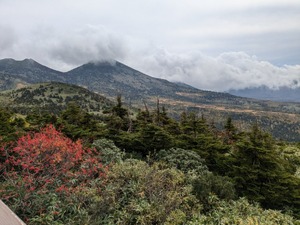 img_20241011-112023.jpg