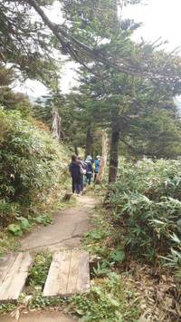 img_20241011-112132.jpg