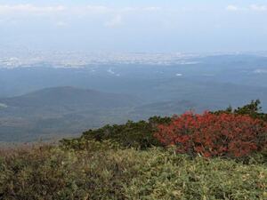 img_20241011-112635.jpg
