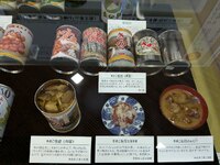 img_20241013-173618.jpg