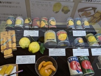 img_20241013-173658.jpg