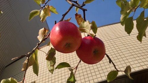 img_20241110-082304.jpg