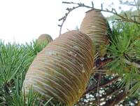 img_20241111-142912.jpg