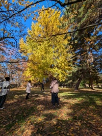 img_20241115-113536.jpg