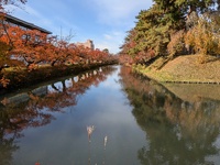 img_20241115-123456.jpg