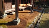 img_20241115-125418.jpg