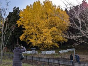 img_20241121-145414.jpg