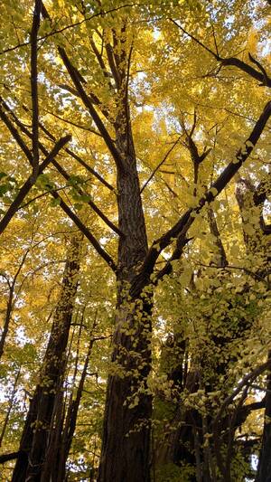 img_20241121-145736.jpg