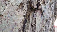 img_20241121-150820.jpg