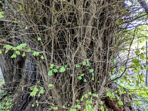 img_20241121-151650.jpg
