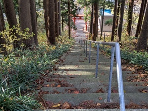 img_20241121-152506.jpg