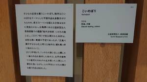 img_20241201-111308.jpg