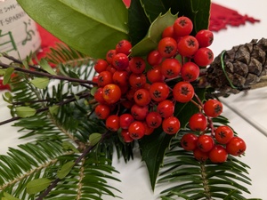 img_20241215-212825.jpg