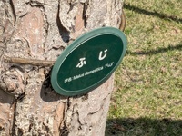 img_20250414-002859.jpg