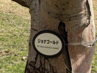 img_20250414-002931.jpg