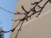 img_20250414-003121.jpg