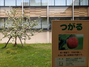 img_20250512-105147.jpg