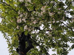 img_20250512-105416.jpg