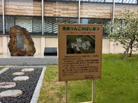 img_20250512-105622.jpg